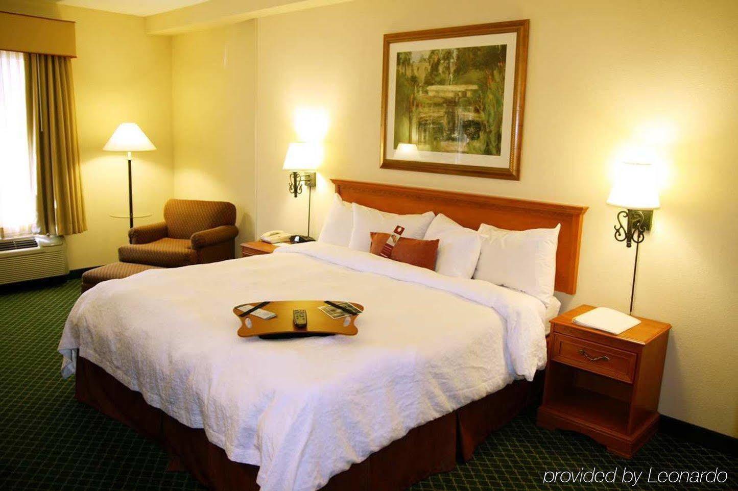 Hampton Inn & Suites St. Petersburg/Downtown Room photo